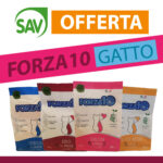 Forza 10 gatto