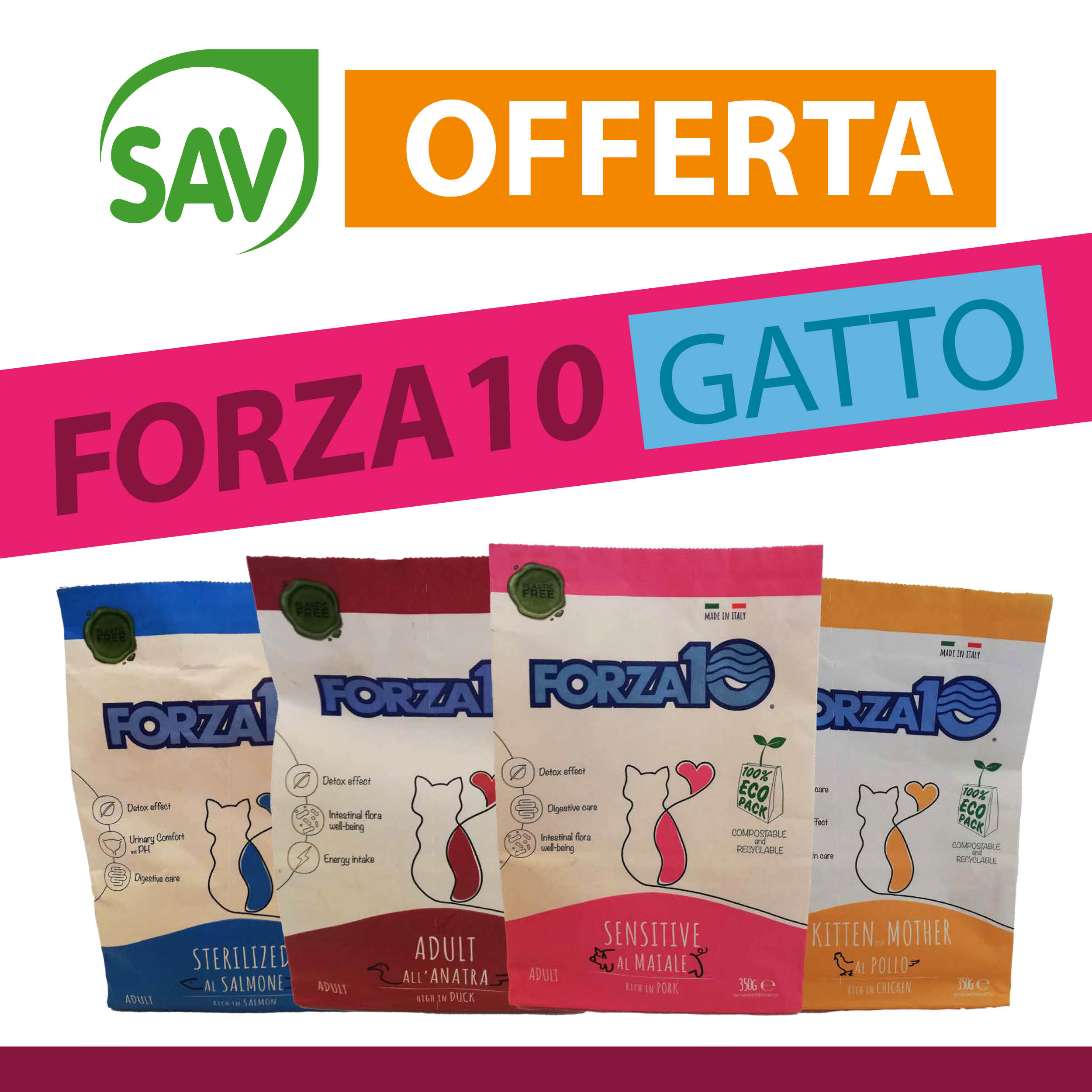 Forza 10 gatto