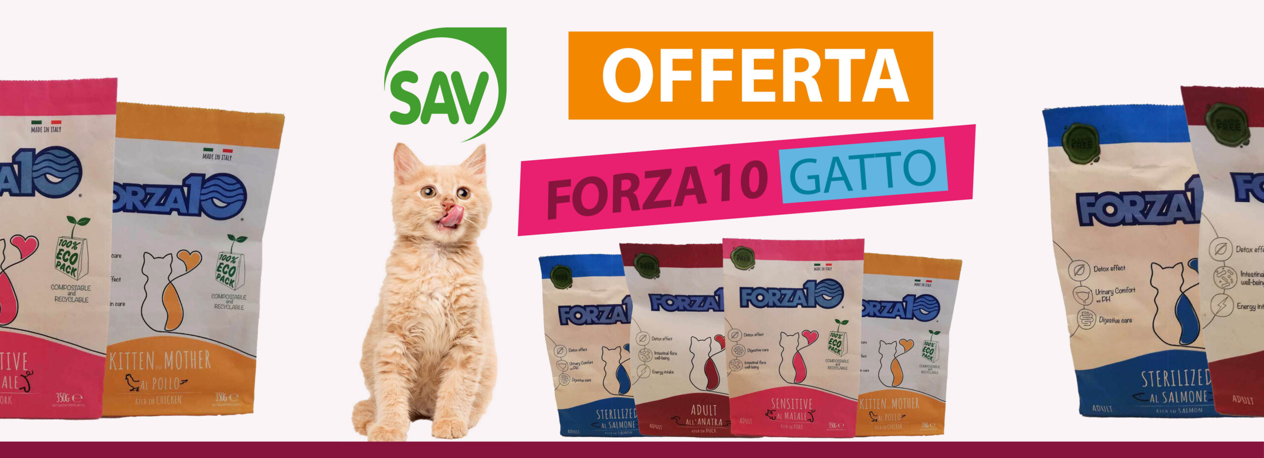 SLIDER forza 10 gatto